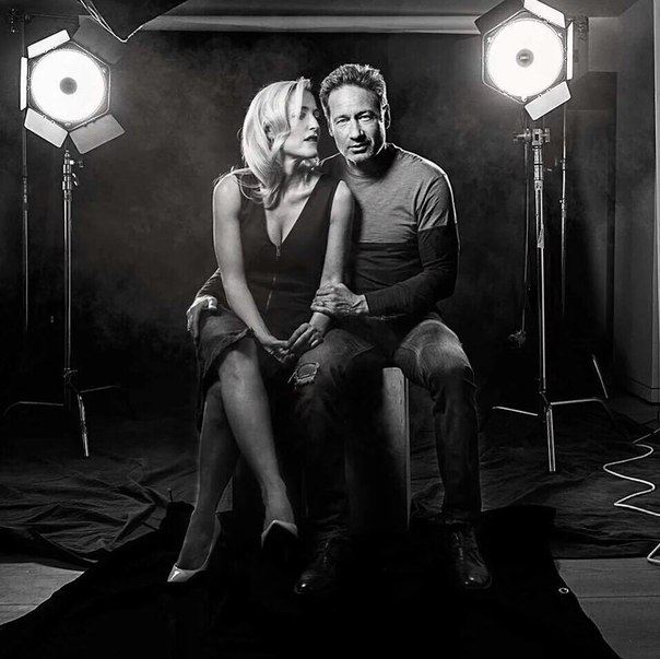 Gillovny 5